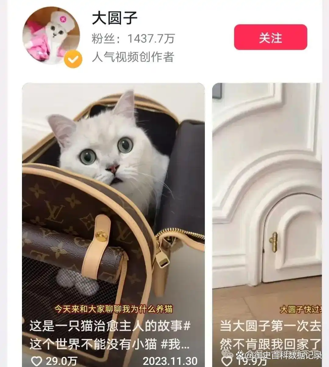 盘点2024年湖北省十大网红